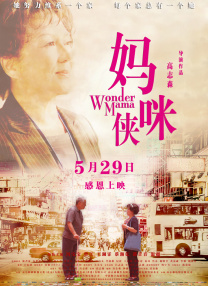 国产69精品久久久久妇女