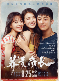 欧美日韩一区二区视频图片